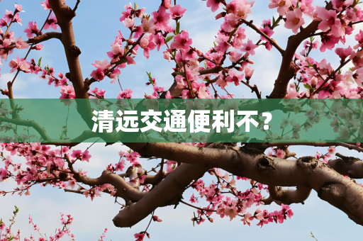 清远交通便利不？