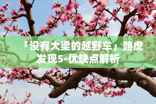 「没有大梁的越野车」路虎发现5-优缺点解析