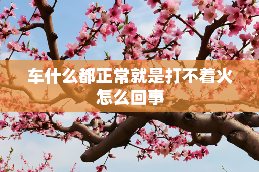 车什么都正常就是打不着火怎么回事