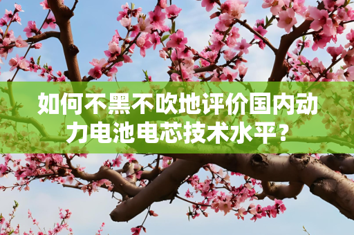 如何不黑不吹地评价国内动力电池电芯技术水平？