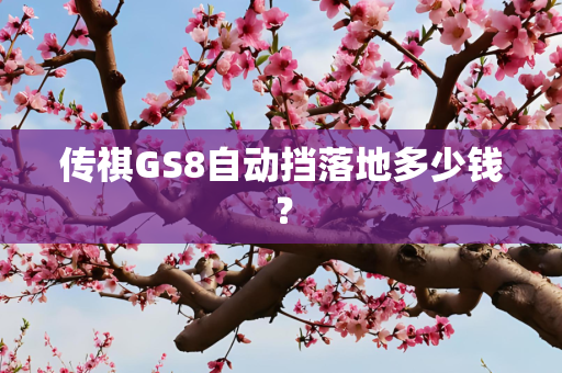 传祺GS8自动挡落地多少钱？