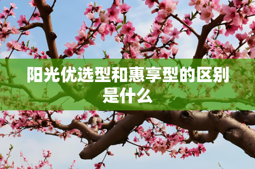 阳光优选型和惠享型的区别是什么