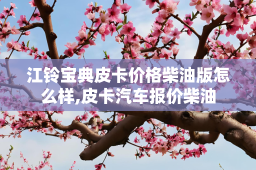 江铃宝典皮卡价格柴油版怎么样,皮卡汽车报价柴油