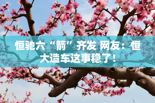 恒驰六“箭”齐发 网友：恒大造车这事稳了！