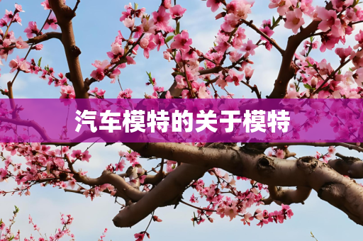 汽车模特的关于模特