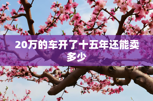 20万的车开了十五年还能卖多少