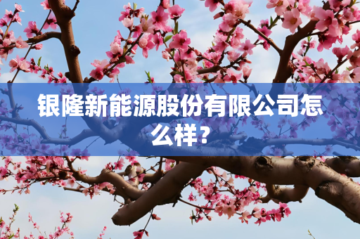 银隆新能源股份有限公司怎么样？