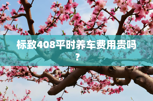 标致408平时养车费用贵吗？