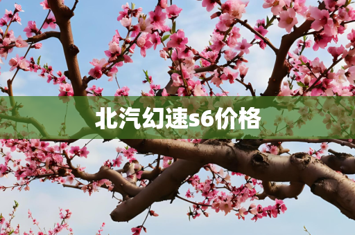 北汽幻速s6价格
