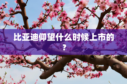 比亚迪仰望什么时候上市的？