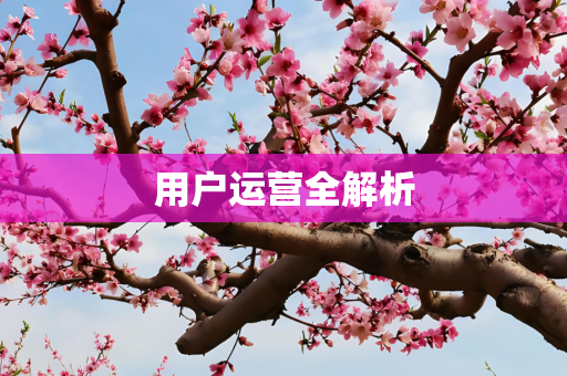 用户运营全解析