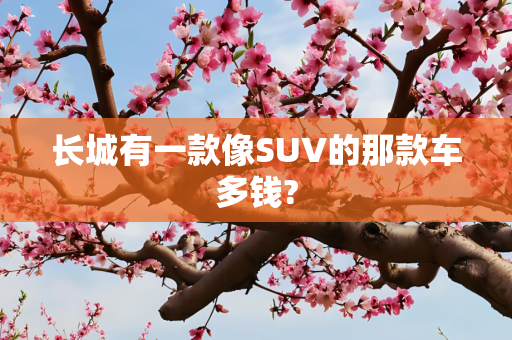 长城有一款像SUV的那款车多钱?