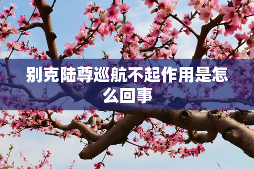 别克陆尊巡航不起作用是怎么回事