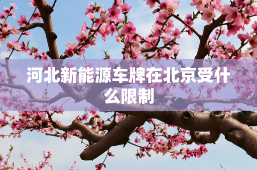 河北新能源车牌在北京受什么限制