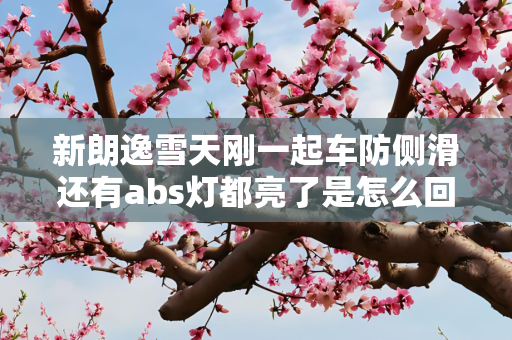 新朗逸雪天刚一起车防侧滑还有abs灯都亮了是怎么回事