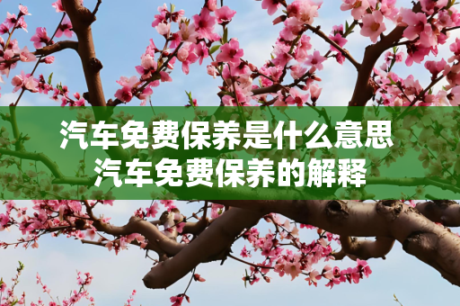 汽车免费保养是什么意思 汽车免费保养的解释