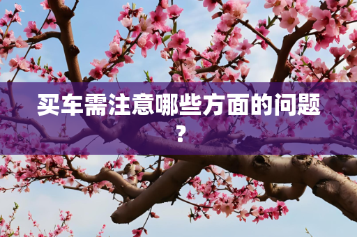 买车需注意哪些方面的问题？