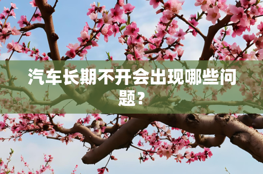 汽车长期不开会出现哪些问题？