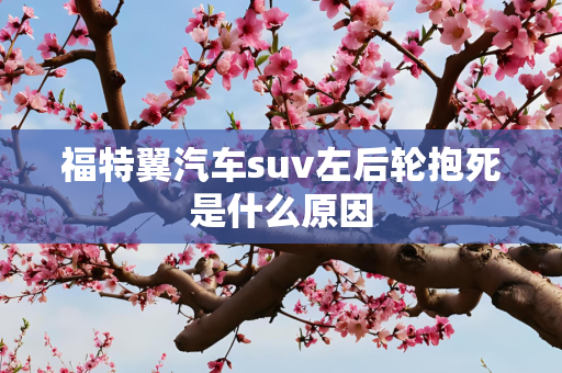 福特翼汽车suv左后轮抱死是什么原因