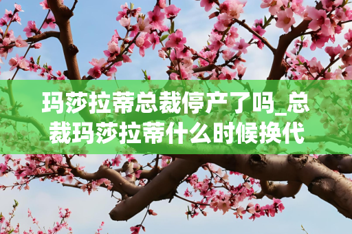 玛莎拉蒂总裁停产了吗_总裁玛莎拉蒂什么时候换代