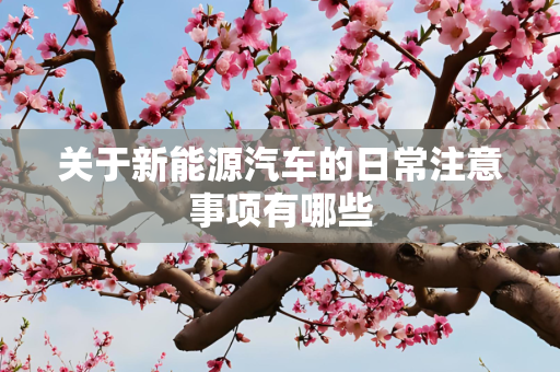 关于新能源汽车的日常注意事项有哪些