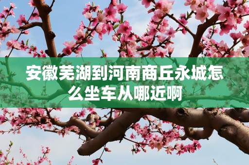 安徽芜湖到河南商丘永城怎么坐车从哪近啊
