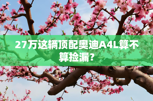 27万这辆顶配奥迪A4L算不算捡漏？