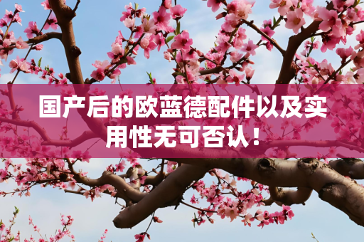 国产后的欧蓝德配件以及实用性无可否认！
