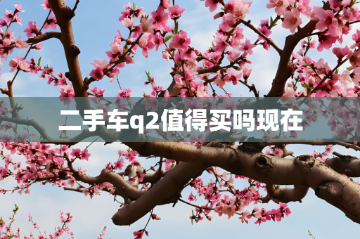 二手车q2值得买吗现在