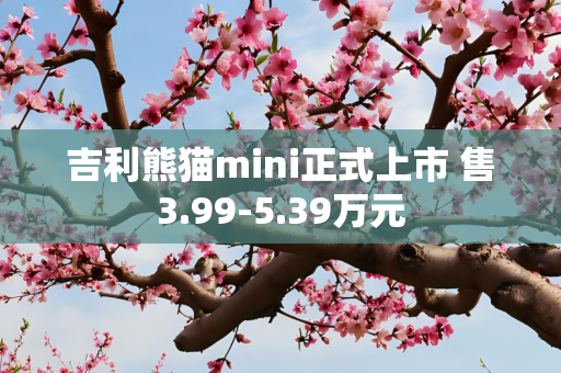 吉利熊猫mini正式上市 售3.99-5.39万元