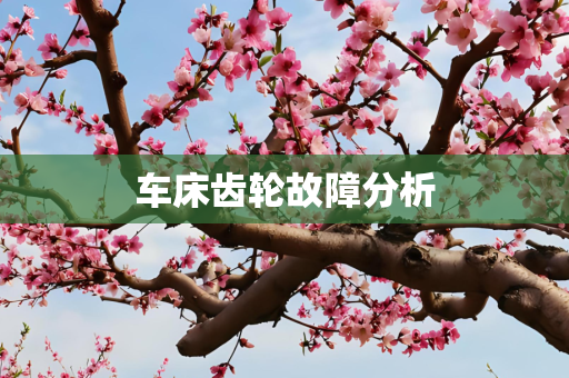 车床齿轮故障分析