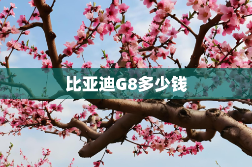 比亚迪G8多少钱