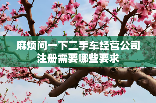 麻烦问一下二手车经营公司注册需要哪些要求