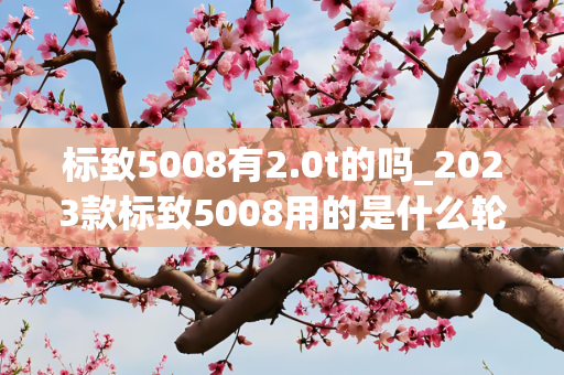标致5008有2.0t的吗_2023款标致5008用的是什么轮胎