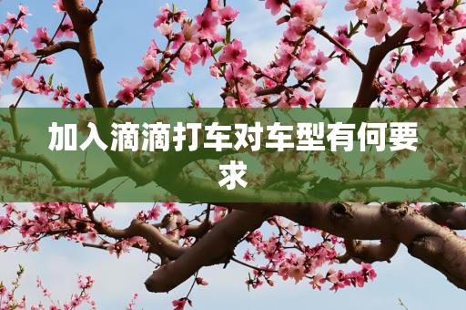 加入滴滴打车对车型有何要求