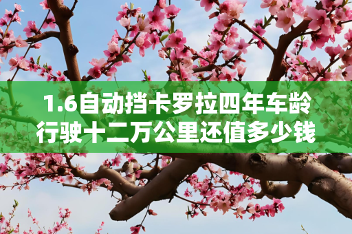 1.6自动挡卡罗拉四年车龄行驶十二万公里还值多少钱