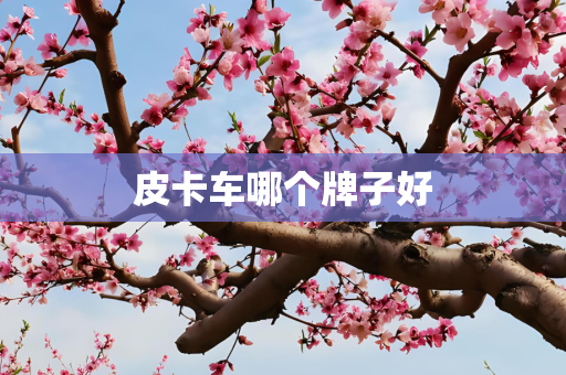 皮卡车哪个牌子好