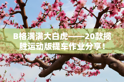 B格满满大白虎——20款揽胜运动版提车作业分享！