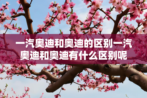 一汽奥迪和奥迪的区别一汽奥迪和奥迪有什么区别呢