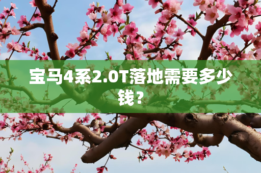 宝马4系2.0T落地需要多少钱？
