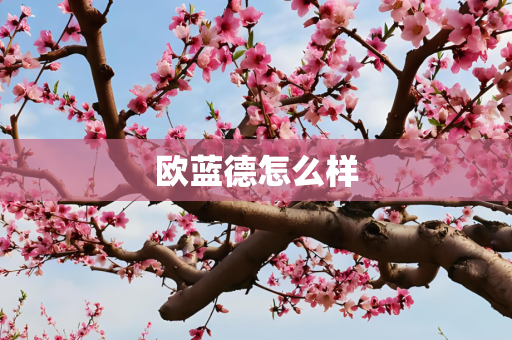 欧蓝德怎么样