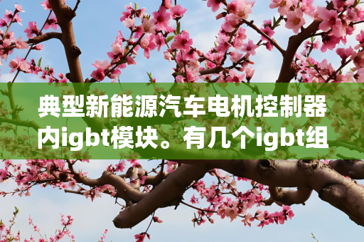 典型新能源汽车电机控制器内igbt模块。有几个igbt组成?