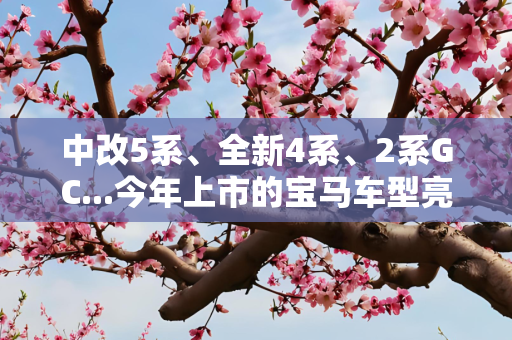 中改5系、全新4系、2系GC...今年上市的宝马车型亮点太多！