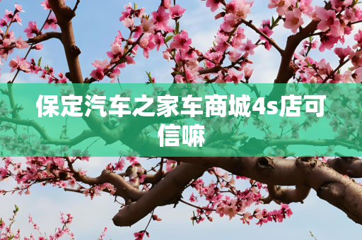 保定汽车之家车商城4s店可信嘛