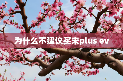 为什么不建议买宋plus ev