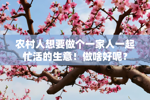 农村人想要做个一家人一起忙活的生意！做啥好呢？