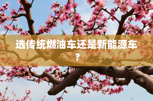 选传统燃油车还是新能源车？