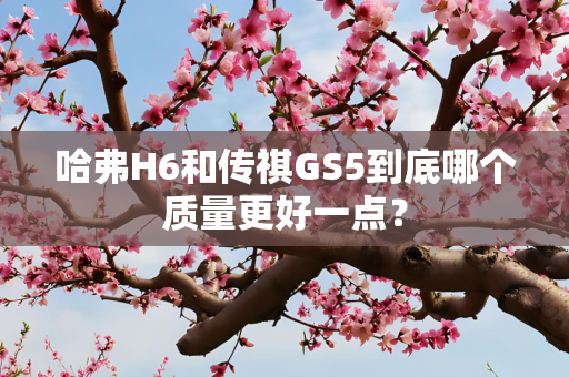 哈弗H6和传祺GS5到底哪个质量更好一点？