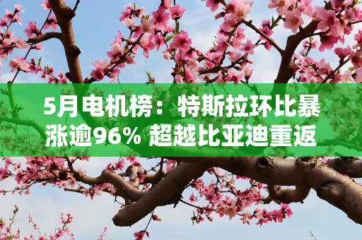 5月电机榜：特斯拉环比暴涨逾96% 超越比亚迪重返第一