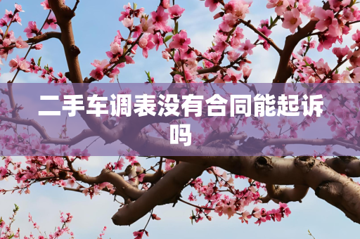 二手车调表没有合同能起诉吗